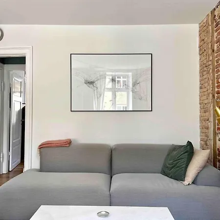 Renovated Flat In The Heart Of Copenhagen *
