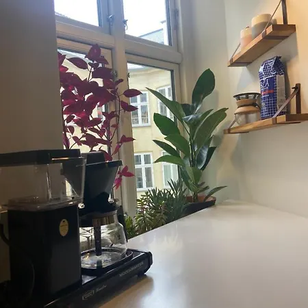 Renovated Flat In The Heart Of Copenhagen