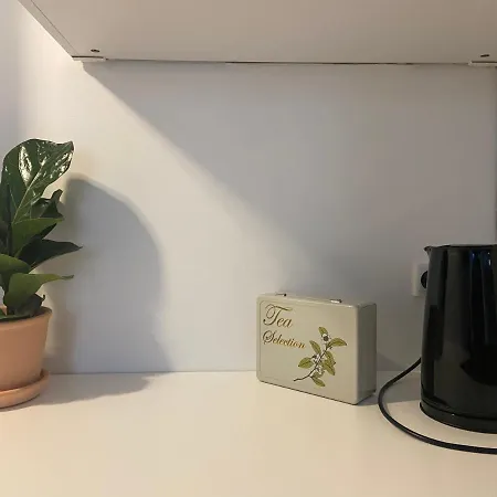 Renovated Flat In The Heart Of Copenhagen Apartman